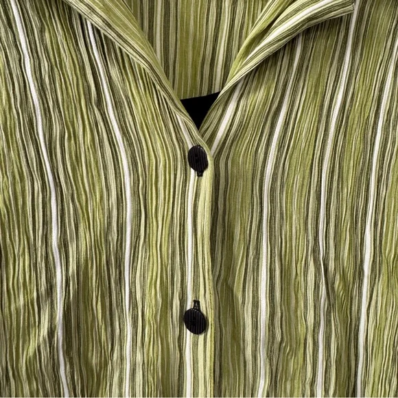 Gloria Lance Green Striped Button-Up Blouse - Picture 2 of 10